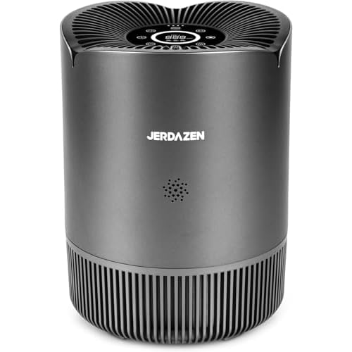Air Purifiers for Bedroom, Covers Up to 985 ft², True HEPA 13 Filter Remove 99.97% is Suitable for Bedroom Small room, Gyms, Indoor Fitness (Gray) Gr