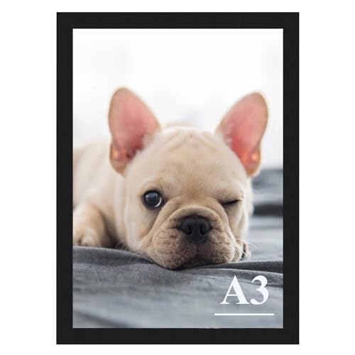RUN HELIX A3 Picture Frame, Wall Gallery Photo Frames,Stable and Sturdy Black Frame with High Definition Plexiglass,A3 Poster Photo Frame,Horizontal a