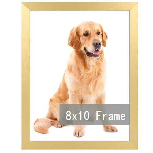 RUN HELIX A3 Picture Frame Gold for Wall Hanging, Wall Mounting Horizontally or Vertically, 11.7 x 16.5 inch Wall Gallery Poster Photo Frame with Dura