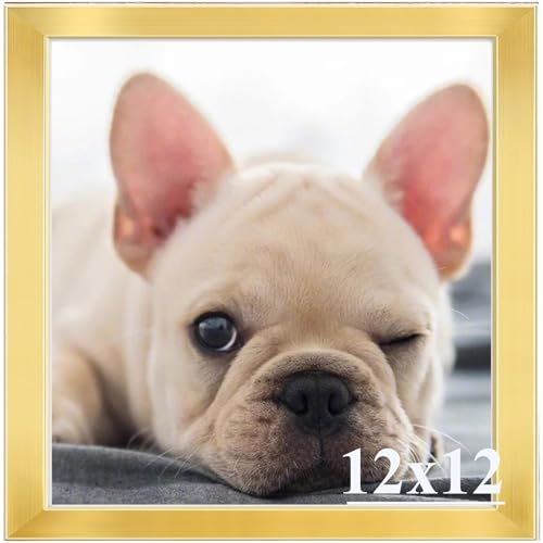 RUN HELIX 12x12 Picture Frame, Wall Gallery Photo Frames,Stable and Sturdy Gold Frame with High Definition Plexiglass,12x12 Poster Photo Frame,Horizon