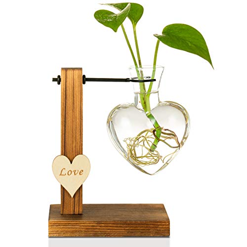 Kingbuy Hydroponic Glass Vase Vintage Desktop Plant Terrarium Planter Bulb Vase Water Planting Propagation Vase Planters Hydroponics Plants with Retro