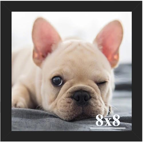 RUN HELIX 8x8 Picture Frames,Simple Designed Photo Frame,Certificate Document Frame for Horizontal and Vertical Formats,8x8 Poster Photo Frame Wall Ga