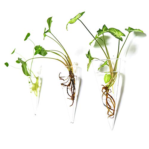 Kingbuy Levitating Glass Planter for Succulents & Hydroponic Plants - 2 Pack Cone-Shaped Wall Vases Floating Terrarium Planters with Wall Mount for In