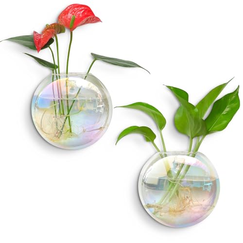 Kingbuy Wall Hanging Glass Planters Propagation Station - 2 Pack Iridescent Oblate Globe Flower Vases for Air Plants, Glass Terrariums with Floating H