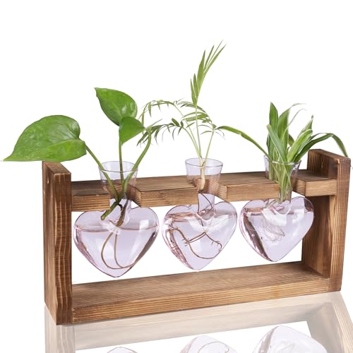 Kingbuy 3-Heart Plant Terrarium Kit - Stained Glass Vase Propagation Station with Vintage Wood Stand - Wall-Mounted & Tabletop Indoor Garden Decor for
