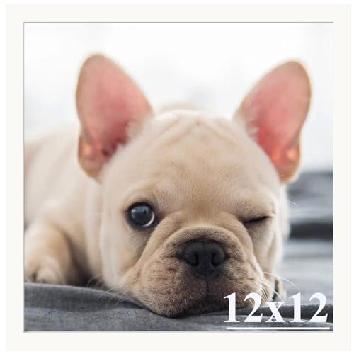 12x12 Picture Frame, 12x12 Poster Photo Frame,Wall Gallery Photo Frames,Durable Shatter Resistant White Frame with High Definition Plexiglass,Horizont