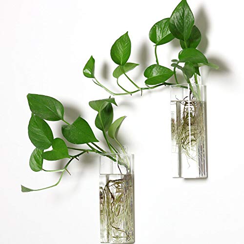 Wall Hanging Planter Glass Terrariums - Rectangle Shape Plants Holders Air Plants Succulents Planters Wall Flower Vase Containers for Plant, Decoratio