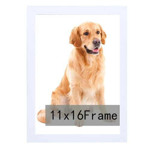 RUN HELIX 11x16 inch Picture Frame, Horizontal and Vertical Formats for Wall Hanging, 11 x 16 Wall Gallery Poster Photo Frame with Durable Shatter Res