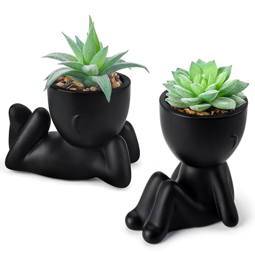 Der Rose 2 Pack Fake Plants Succulent Plants Artificial for Home Bathroom Living Room Office Decor Black
