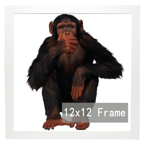 RUN HELIX 12x12 Frame, Horizontal and Vertical Formats for Wall Hanging, 12 x 12 Square Wall Gallery Poster Photo Frame with Durable Shatter Resistant