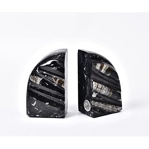 AMOYSTONE 1Pair Unique Decorative Bookends Natural Orthoceras Fossil 4-5 LBS for Kids Books, Home Kitchen, Height 4.7" 4-5 Lbs Black & White C