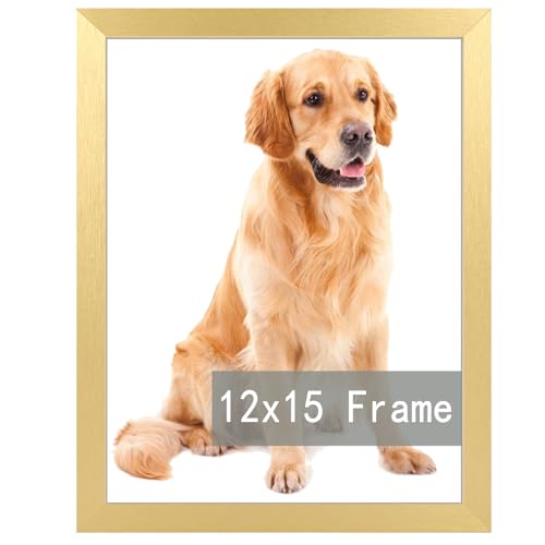 RUN HELIX 12x15 Picture Frame in Gold, Photo Frames with Plexiglass, Horizontal and Vertical Formats for Wall Mounting Wall Frame Poster Picture Frame