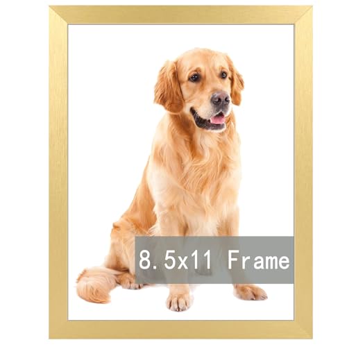 RUN HELIX 8.5x11 Gold Picture Frames, Photos Frame with Plexiglass, Wall Gallery Photo Frames, Horizontal and Vertical for Wall Mounting, Home Office