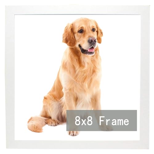 RUN HELIX 8x8 Picture Frame for 8by8 Square Poster Photo Canvas Certificate White High Transparent Photo Frame Wall Desktop Horizontal Vertical 8 x 8,