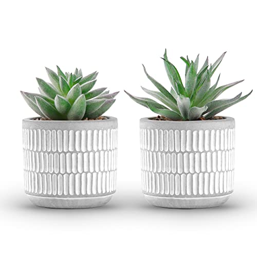 Der Rose Set of 2 Succulents Plants Artificial Fake Cactus Plants for Living Room Bathroom Bedroom Aesthetic Home Shelf Decor White-2