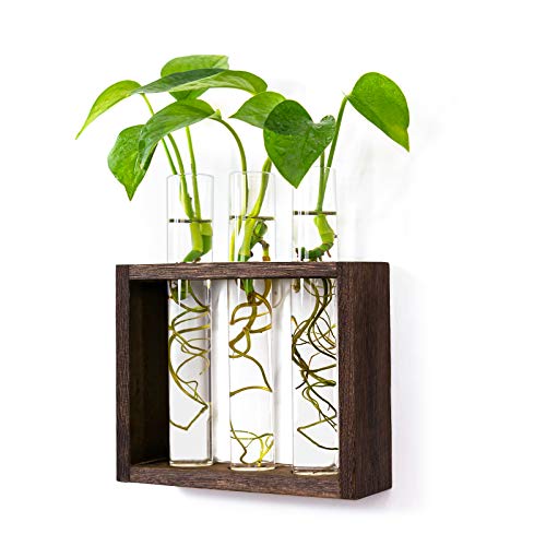 Kingbuy Wood Propagation Station with 3 Glass Tubes - Wall Mounted Test Tube Vase Wooden Stand for Hydroponic Plants Tabletop Terrarium Windowsill Acc