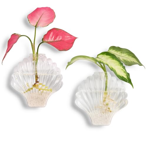 Kingbuy Shell Wall Planter - 2 Pack Hydroponic Propagate Plant Cuttings Holder Propagation, Home Office Living Room Decor Gift for Plant Lovers Shell