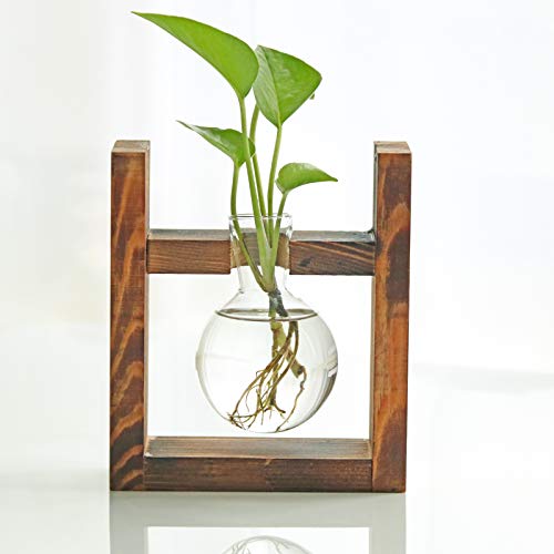Kingbuy Glass Plant Terrarium - 1 Bulb Propagation Station with Retro Wood Stand Indoor Garden Planter, Bulb Vase & Desktop Decor for Home Kitchen Wed