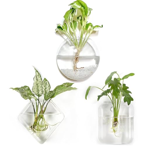 Kingbuy 3-Pack Wall Planters Propagation Stations for Indoor Plants - Hanging Glass Terrariums Vase Container for Propagating Hydroponic Plants Flower