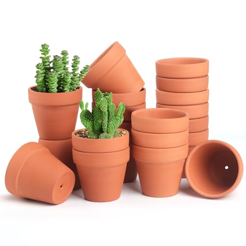 FAMILY 20 Pack 3.15 inch Terra Cotta Clay Flower Pots - Breathable and Paintable Indoor Mini Planters for Kids and Adults