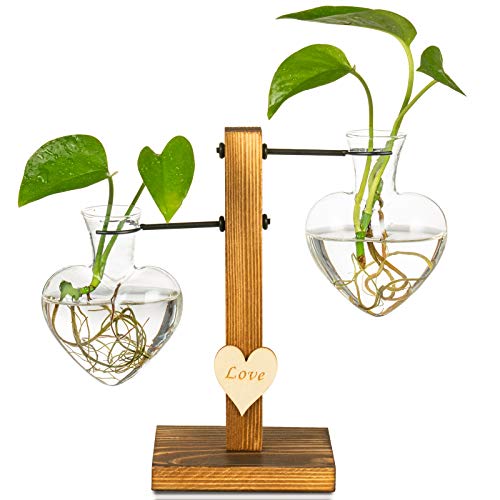 Kingbuy Heart Shaped Glass Hydroponic Vase with Retro Wooden Stand - Desktop Plant Terrarium for Bulb Planter, Water Plant Propagation Glass Vase Pot