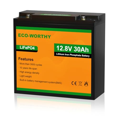 ECO-WORTHY 12V 30Ah LiFePO4 Lithium Battery, 4000+ Deep Cycle Rechargeable Battery with BMS for Ham Radio, Fish Finder, Kids Scooters, Power Wheels, T