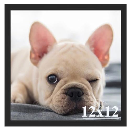 RUN HELIX 12x12 Picture Frame, Wall Gallery Photo Frames,Stable and Sturdy Black Frame with High Definition Plexiglass,12x12 Poster Photo Frame,Horizo
