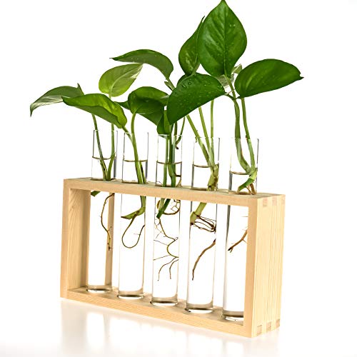 Kingbuy Wall Propagation Station with 5 Test Tube Vases - Vintage Wood Stand Wall Hanging Planter for Plants, Tabletop Terrarium Windowsill Decor Kitc