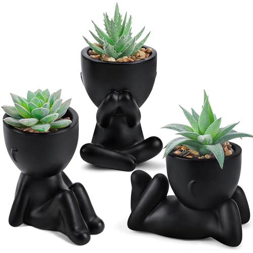 Der Rose 3 Pack Fake Plants Artificial Succulents Plants for Room Bathroom Home Office Desk Accessories Decor Black