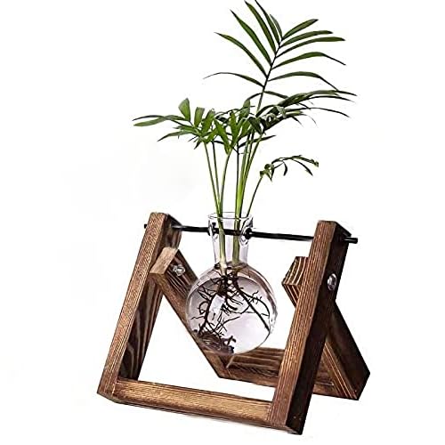 Kingbuy Plant Propagation Station Air Plant Terrarium Bulb Vase with Wooden Swivel Holder Desktop Glass Planter for Indoor Water Plants Home Office Ta