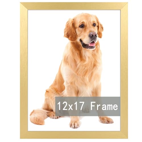 RUN HELIX 12x17 Gold Picture Frames, Photos Frame with Plexiglass, Wall Gallery Photo Frames, Horizontal and Vertical for Wall Mounting, Home Office D