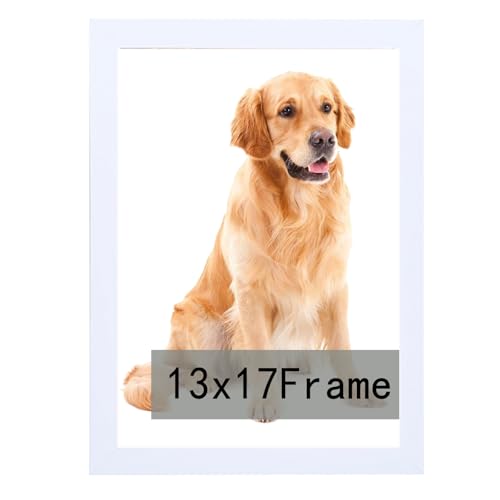 RUN HELIX 13x17 Picture Frames, Photos Frame with Plexiglass, Wall Gallery Photo Frames, Horizontal and Vertical for Wall Mounting, Home Office Decora