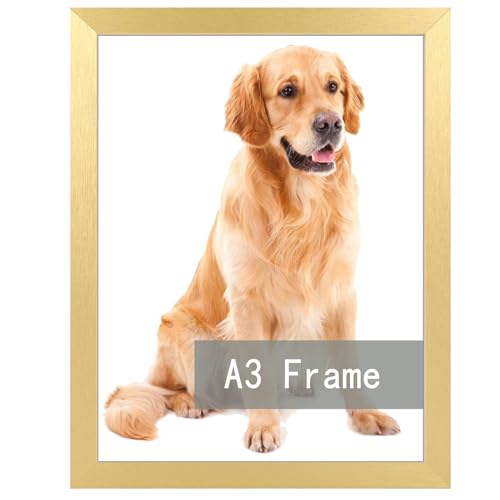 RUN HELIX A3 Picture Frame Gold for Wall Hanging, Wall Mounting Horizontally or Vertically, 11.7 x 16.5 inch Wall Gallery Poster Photo Frame with Dura