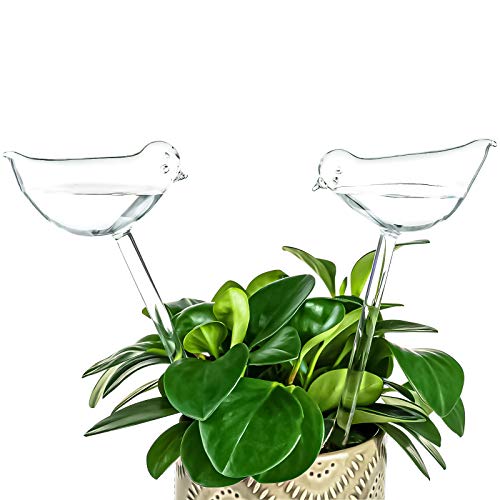 Kingbuy Self Watering Globes Plant Waterer Device Bird Shape Hand Blown Clear Glass Bulb for Indoor Outdoor Plants, 2 Pack 2 bird