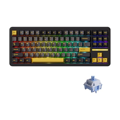 Akko TAC87 kabelgebundene Gaming-Tastatur, 88 Tasten, 80% TKL US-Layout, schwarz-goldene Hot-Swap-fähige mechanische Tastatur mit PBT-Tastenkappen im