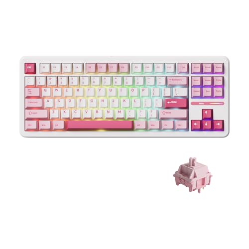 Akko TAC87 Kabelgebundenes mechanisches Tastatur, 88 Tasten, 80% TKL US-Layout, Prunus Lannesiana Hot-Swap-fähige Gaming-Tastatur mit PBT-Tastenkappe