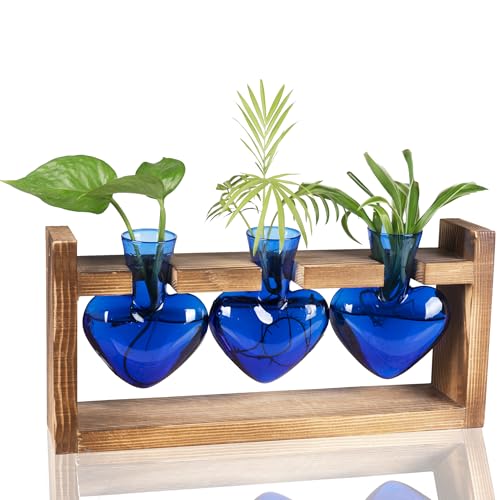 Kingbuy 3-Heart Plant Terrarium Kit - Stained Glass Vase Propagation Station with Vintage Wood Stand - Wall-Mounted & Tabletop Indoor Garden Decor for