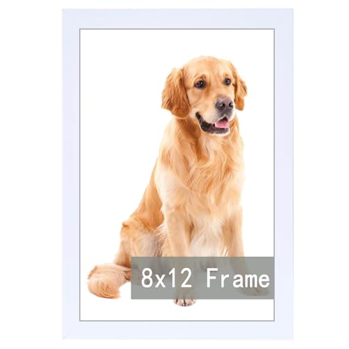 RUN HELIX 8x12 Picture Frame White for Wall Hanging or Tabletop- Wall Mounting Horizontally or Vertically8x12 Wall Gallery Poster Photo Frame for 12 b