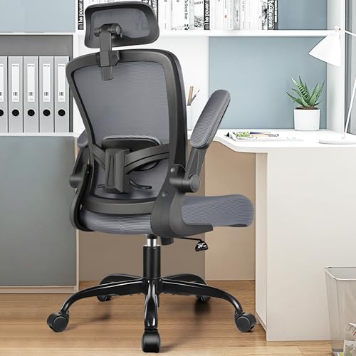 FelixKing Office Chair, Desk Chair with Adjustable Lumbar Support, Ergonomic Computer Chair with High Back and Armrest, Adjustable Height Gaming Chair