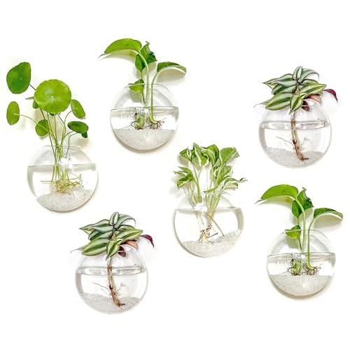 Kingbuy Wall Hanging Glass Planter Propagation Station - 6 Pack Oblate Globe Wall-Mounted Vases for Indoor Hydroponic Air Plants Bathroom Living Room