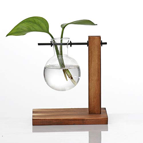 Kingbuy Glass Planter Bulb Vase Desktop Plant Terrarium with Retro Solid Wooden Stand for Propagation Hydroponics Water Plants Home Garden Office Deco
