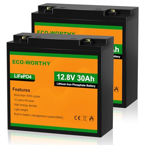 ECO-WORTHY 2 Pack 12V 30Ah LiFePO4 Lithium Battery for Mobility Scooter, Power Wheels, Wheel Chair, 3000+ Deep Cycle Rechargeable Battery