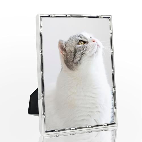 DECANIT 8x10 Picture Frame Metal,Thin Profile Photo Frame 8 by 10 Inch, Display for Wall Mounting or Tabletop,silver Silver Bamboo 8x10