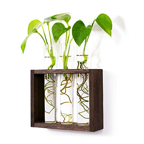 Wooden Propagation Station with 3 Glass Test Tubes, Tabletop Glass Terrarium Holder for Cuttings Hydroponics, Home Office Desk Decor Gift for Women Mo