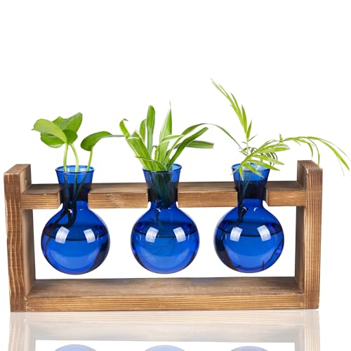 Kingbuy Glass Plant Terrarium Propagation Station - 3 Bulb Colored Vases with Retro Wood Stand Indoor Garden Planter - Wall Mounted & Desktop Decor fo