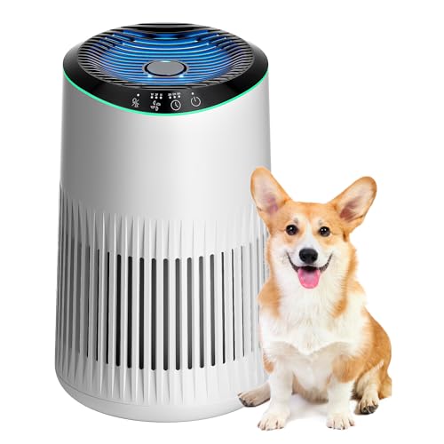MERONTE Air Purifiers for Home, Air Purifier for Smoke Odors with Fragrance Sponge, Small Air Purifier with Sleep Mode for Bedroom Office, Blue Night