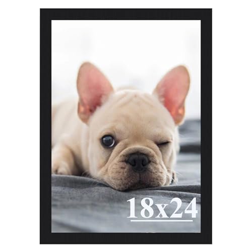 RUN HELIX 18x24 Picture Frames,Simple Designed Photo Frame,Certificate Document Frame for Horizontal and Vertical Formats,18x24 Poster Photo Frame Wal