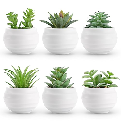 Der Rose Set of 6 Succulents Plants Artificial in Pots Small Fake Plants for Bedroom Aesthetic Living Room Shelf Bathroom Decor Office Desk Accessorie