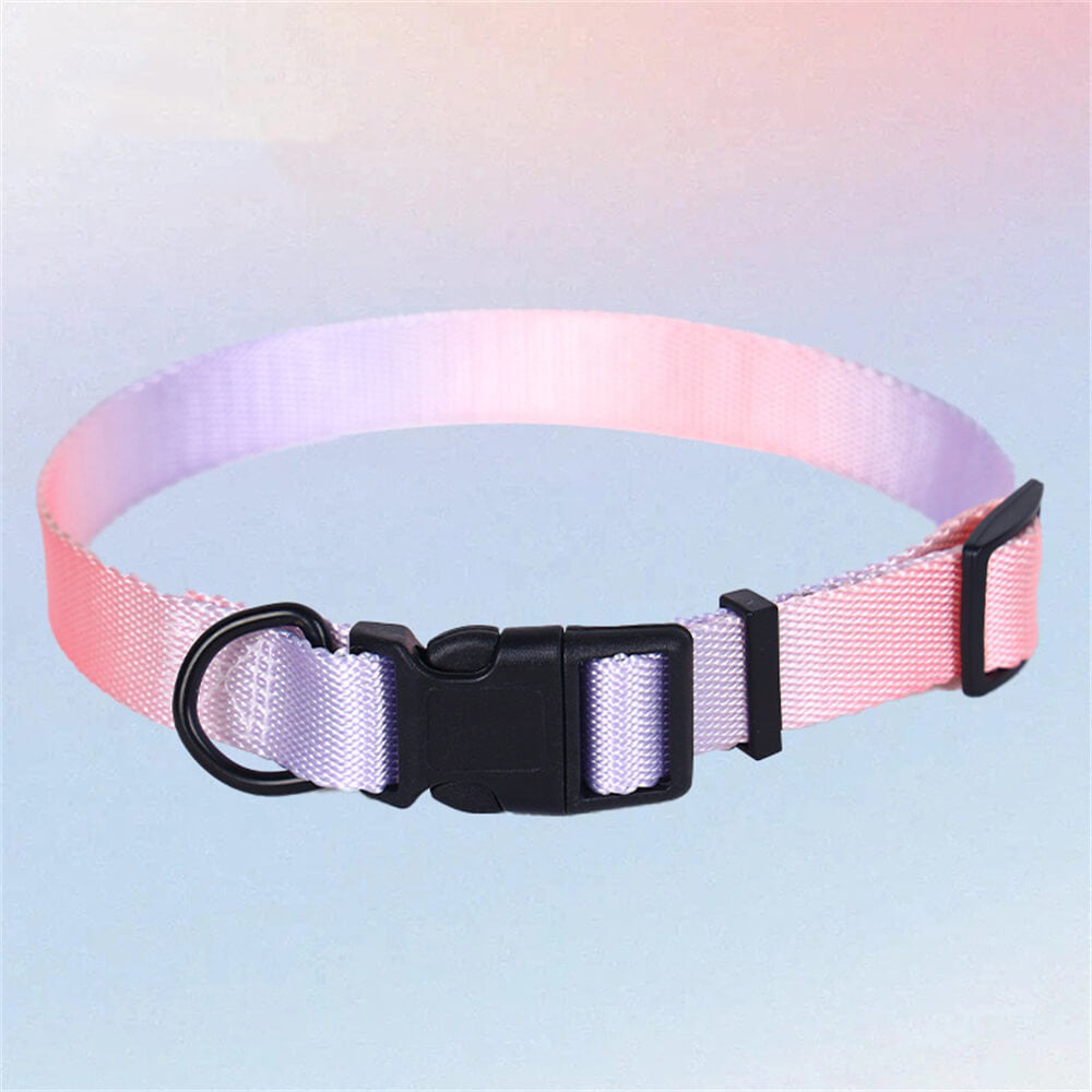 Colorful Gradient Dog Traction Rope and Chest Harness - Anti-Breakaway Design, Collar-Pink+Purple - M