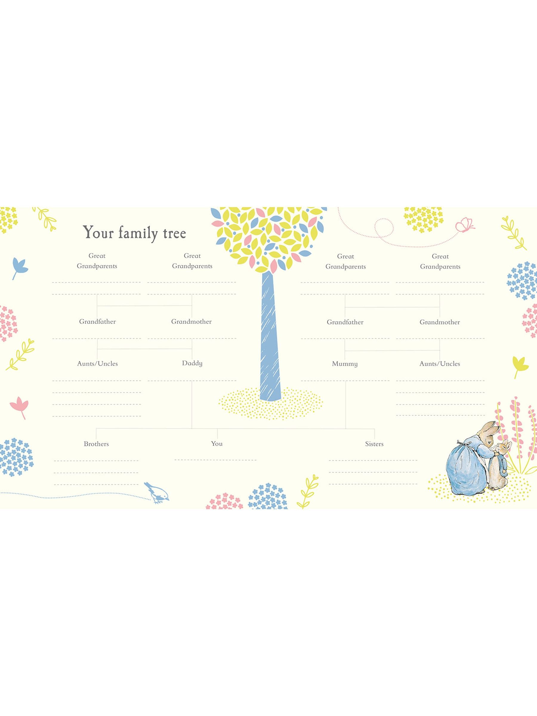 Peter Rabbit Baby Record Book ONE
